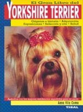 Yorkshire terrier