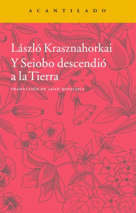 Y SEIOBO DESCENCIO A LA TIERRA