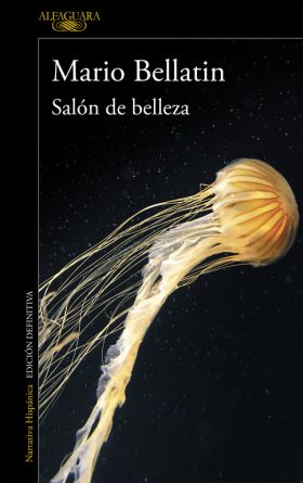 SALON DE BELLEZA (MAPA DE LAS LENGUAS)