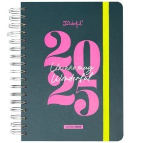 AGENDA OFFICE 2025 DIARIA - UN AÑO MR. WONDERFUL