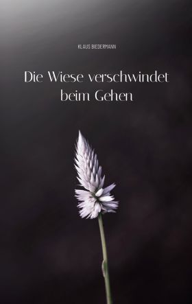 DIE WIESE VERSCHWINDET BEIM GEHEN