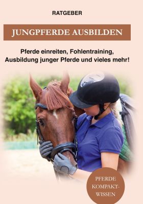 JUNGPFERDE AUSBILDEN