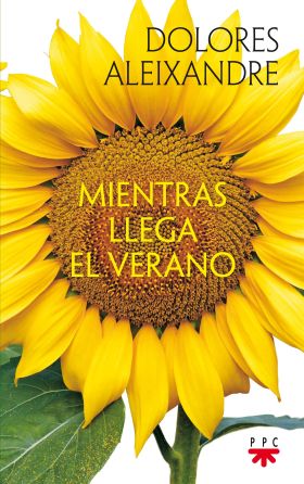 MIENTRAS LLEGA EL VERANO