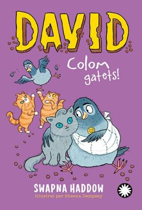 DAVID COLOM. GATETS! (DAVID COLOM #5)