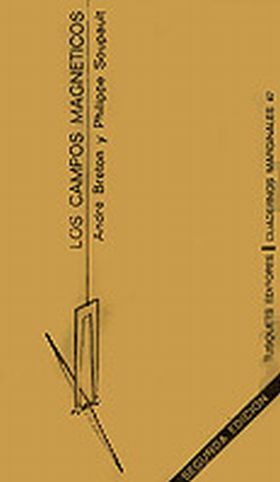 Los campos magnéticos