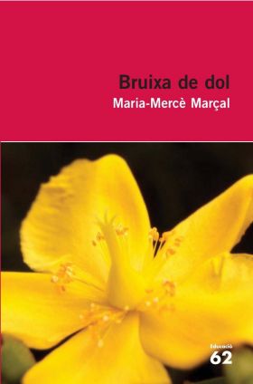 Bruixa de dol (1977-1979)