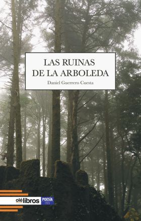 RUINAS DE LA ARBOLEDA, LAS