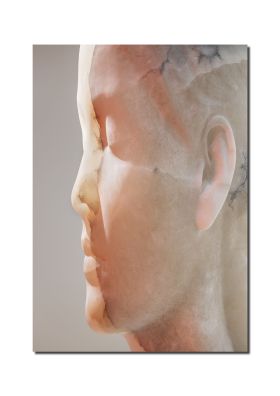JAUME PLENSA: INNER MATTER / MATERIA INTERIOR
