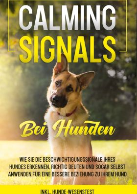 CALMING SIGNALS BEI HUNDEN: WIE SIE DIE BESCHWICHTIGUNGSSIGNALE IHRES HUNDES ERK