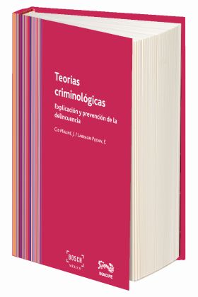 Teorías criminológicas