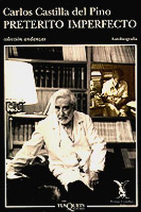 Pretérito imperfecto