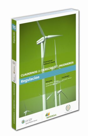 Cuadernos de derecho para ingenieros (n.º 15)