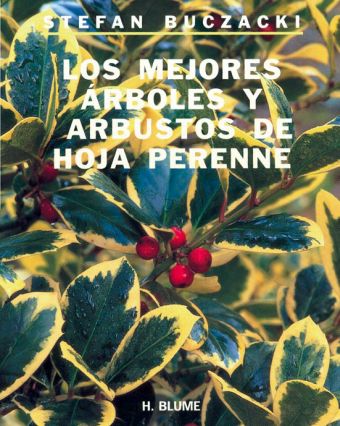 Los mejores árboles y arbustos de hoja perenne