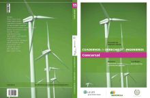 Cuadernos de Derecho para Ingenieros (n.º 11)