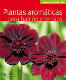 Plantas aromáticas para balcón y terraza