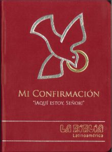 Biblia Latinoamérica [letra grande] - símil piel - Confirmación