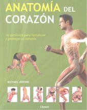 ANATOMIA DEL CORAZON