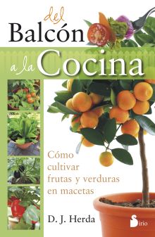 DEL BALCON A LA COCINA