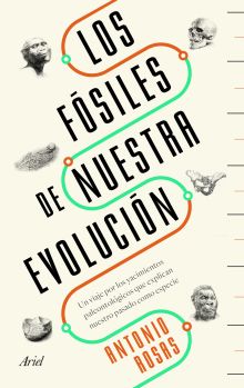 FOSILES DE NUESTRA EVOLUCION, LOS