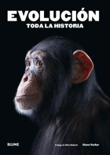 EVOLUCION