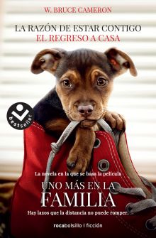 LA RAZON DE ESTAR CONTIGO. EL REGRESO A CASA. PORT