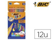 12 PINTURAS MADERA EVOLUTION STRIPES BIC