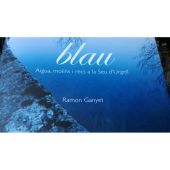 BLAU. AIGUA, MOLINS I RECS A LA SEU D'URGELL