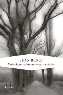 VARIACIONES SOBRE UN TEMA ROMANTICO