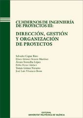 DIRECCION GESTION Y ORGANIZACION DE PROYECTOS