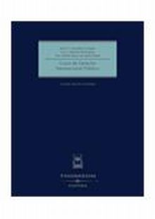 Curso de Derecho Internacional Público
