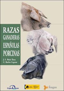 RAZAS GANADERAS ESPAÑOLAS PORCINAS