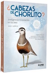CABEZAS DE CHORLITO?