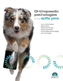 ORTHOPAEDIC PATHOLOGIES OF THE STIFLE JOINT