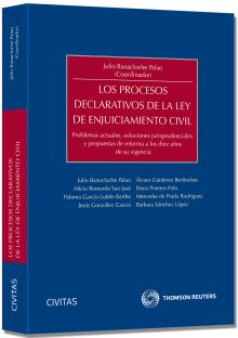 Los procesos declarativos de la Ley de Enjuiciamiento Civil - Problemas actuales