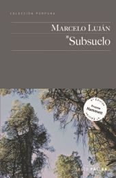 SUBSUELO