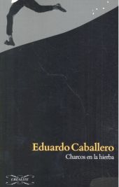 CHARCOS EN LA HIERBA