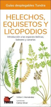 HELECHOS, EQUISETOS Y LICOPODIOS - GUIAS DESPLEGABLES TUNDRA
