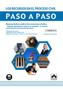 Los recursos en el proceso civil. Paso a paso