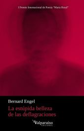 ESTUPIDA BELLEZA DE LAS DEFLAGRACIONES, LA