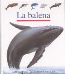 BALENA