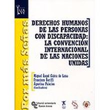 Derechos humanos de las personas con discapacidad: la convención internacional d