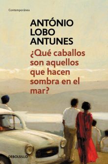 QUE CABALLOS SON AQUELLOS QUE HACEN SOMBRA EN EL MAR?