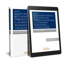 Vacíos e insuficiencias en la adaptación y protección adecuada a las personas tr