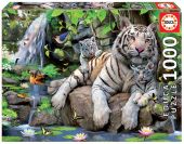 PUZZLE 1000 TIGRES BLANCOS DE BENGA EDUCA