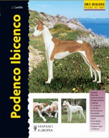 PODENCO IBICENCO