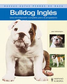 Bulldog Inglés