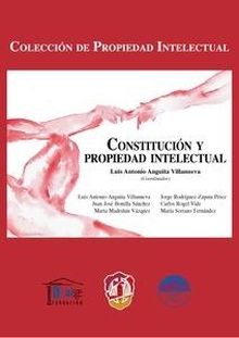 Constitución y propiedad intelectual