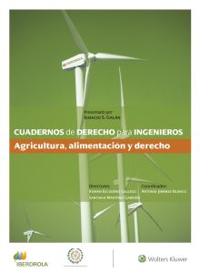 CUADERNOS DE DERECHO PARA INGENIEROS (N.º 47)