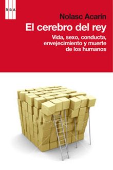 El cerebro del rey