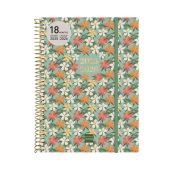 18M.ESP.E10 SVH 25-26 DAISY INTL+